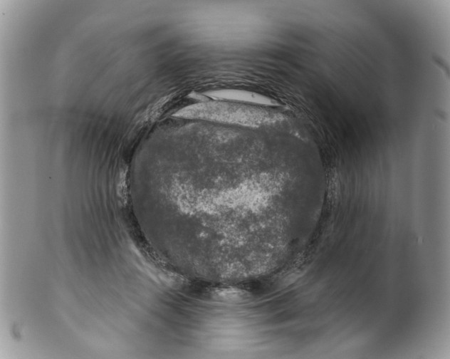 X0000099500360200806051128