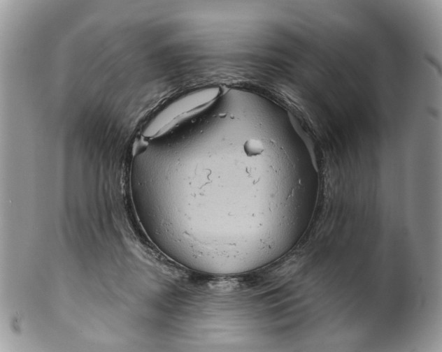 X0000099500362200806051128