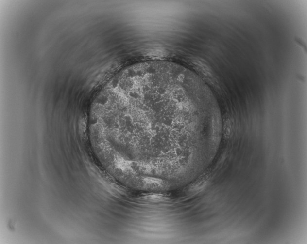 X0000099500365200806051128