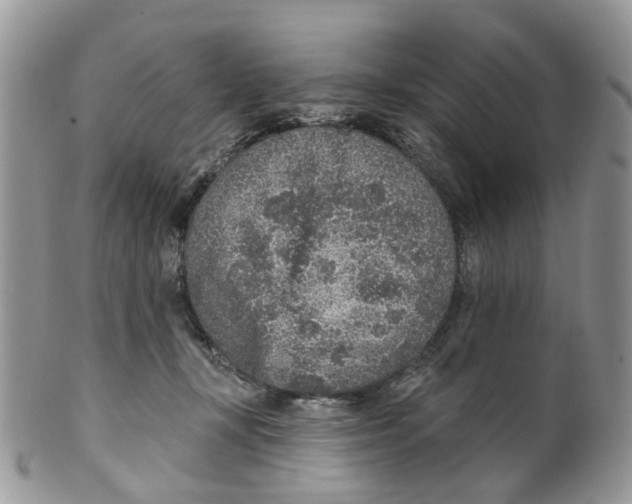 X0000099500367200806051128