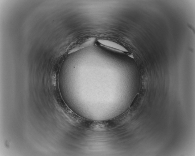 X0000099500368200806051128