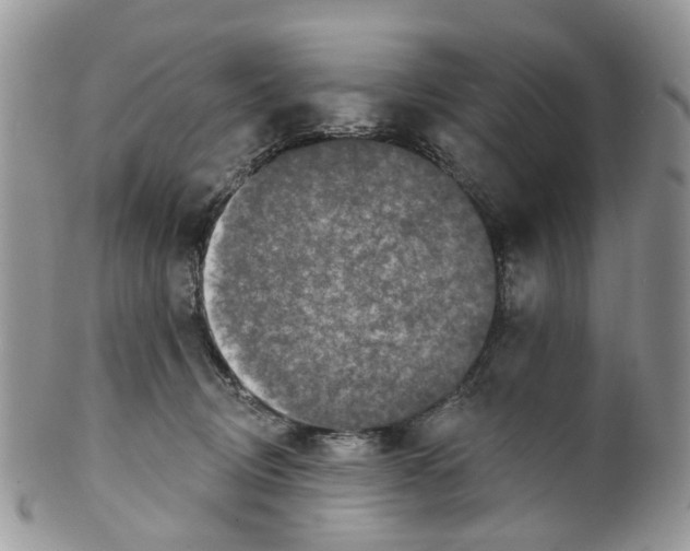 X0000099500370200806051128