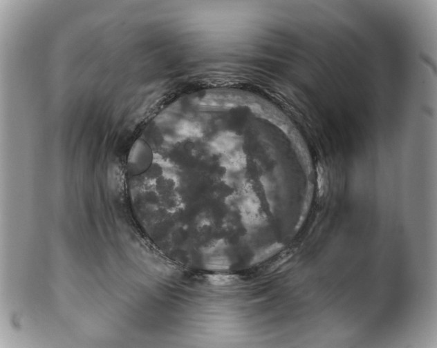 X0000099500371200806051128