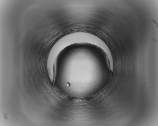 X0000099500372200806051129