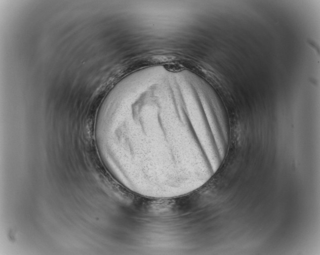 X0000099500373200806051129