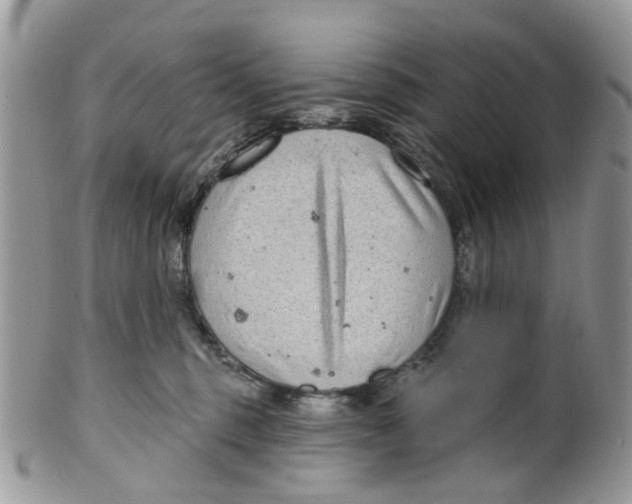 X0000099500375200806051129