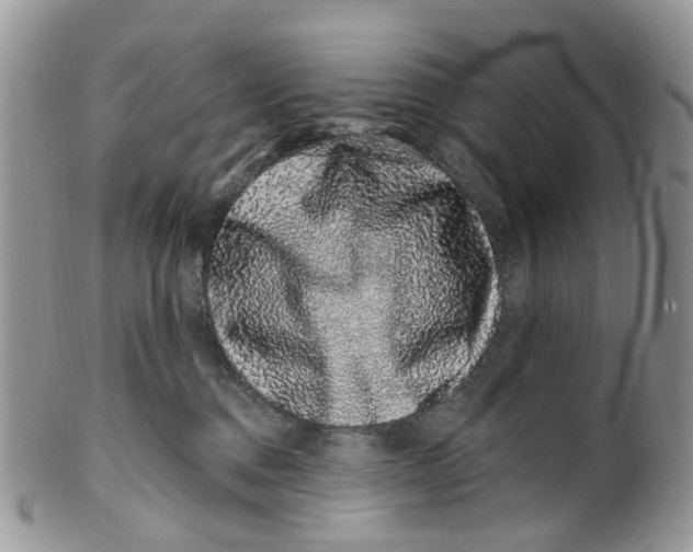 X0000099500376200806051129