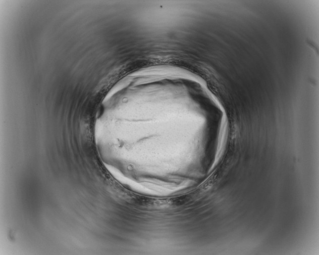 X0000099500377200806051129