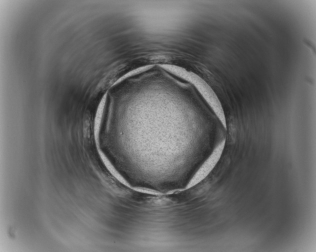 X0000099500379200806051129