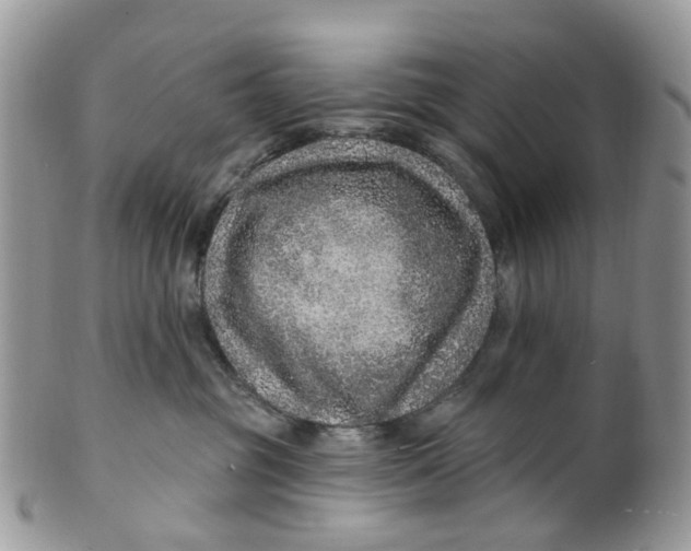 X0000099500381200806051129