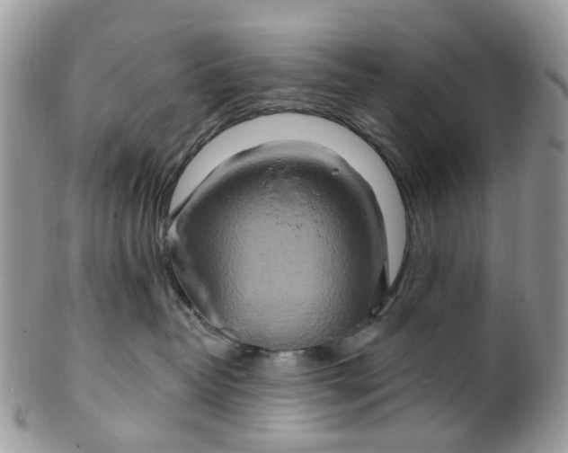 X0000099500382200806051129