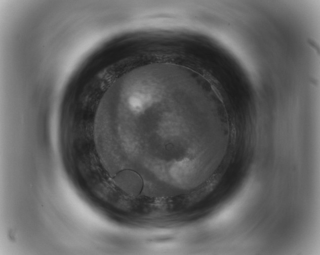 X0000099500383200806051129