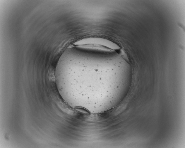 X0000099500384200806051129