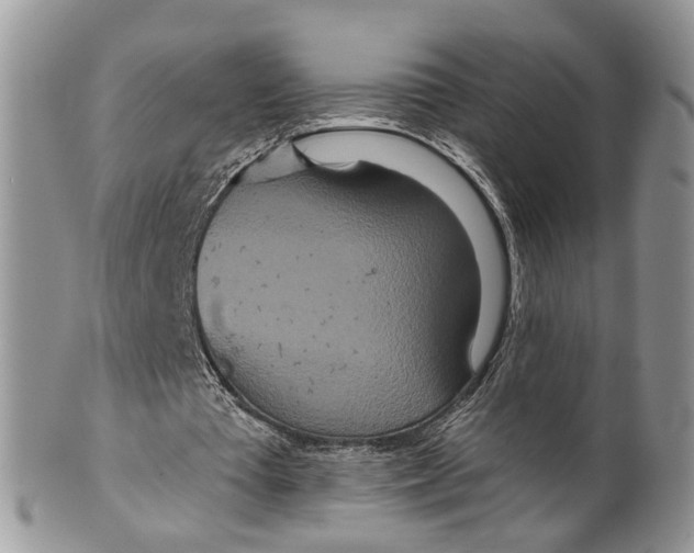 X0000099500385200806051128