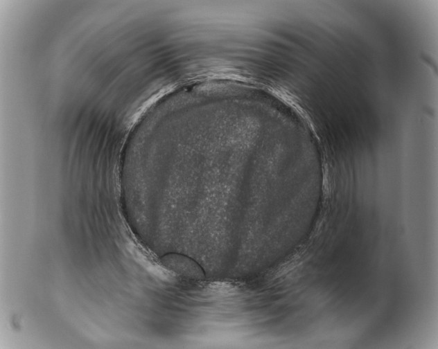 X0000099500390200806051128