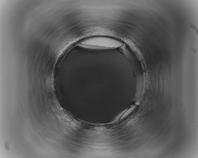 X0000099500391200806051128