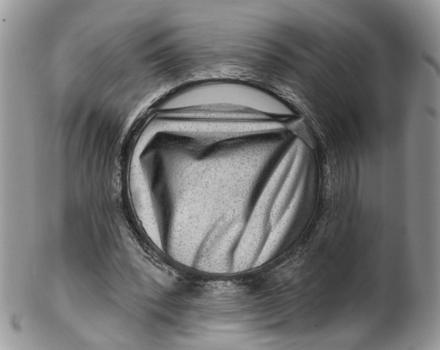 X0000099500392200806051128