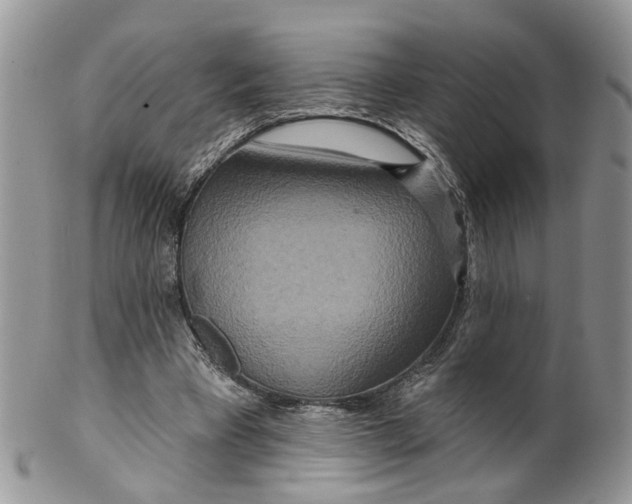 X0000099500393200806051128