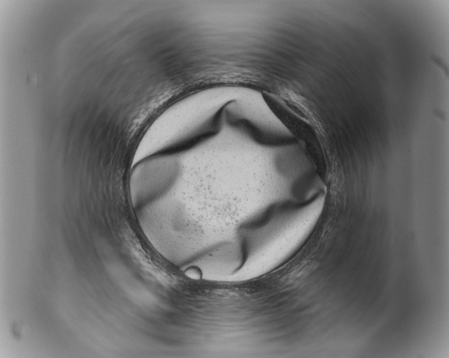 X0000099500394200806051128