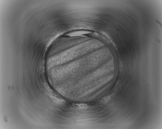 X0000099500395200806051128