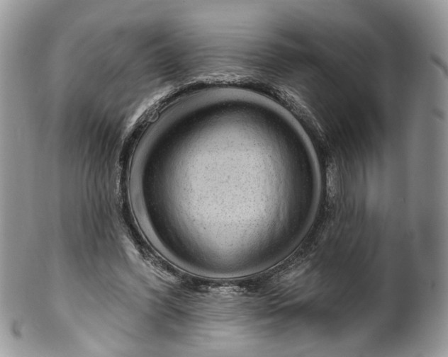 X0000099500396200806051128