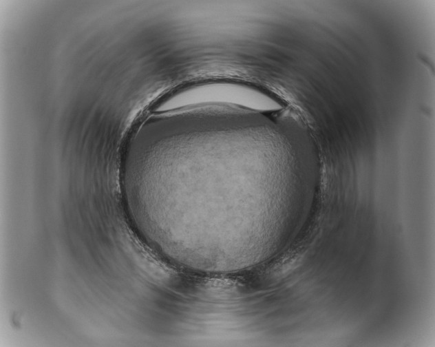 X0000099500399200806051128