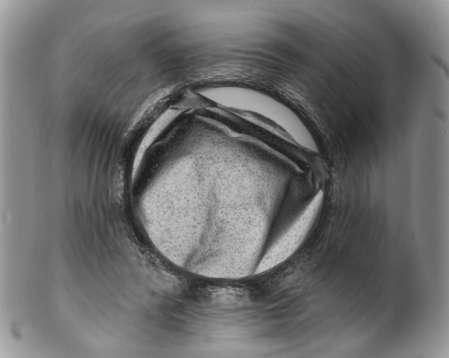 X0000099500400200806051128