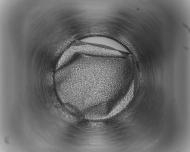 X0000099500401200806051128