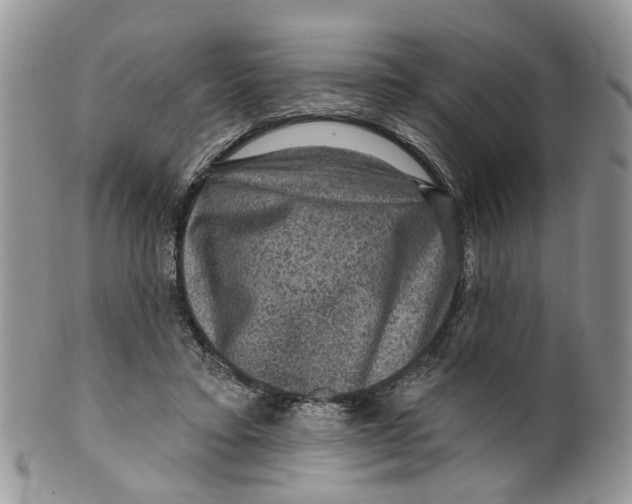 X0000099500403200806051128