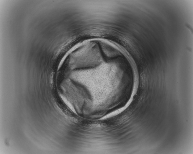 X0000099500404200806051128