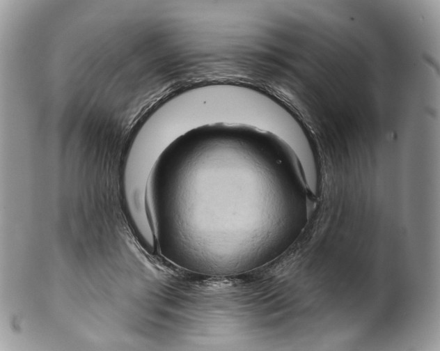 X0000099500405200806051128