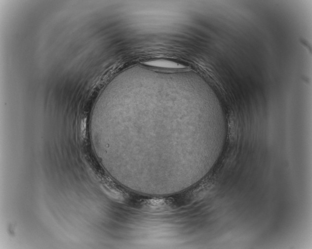 X0000099500406200806051128