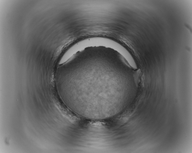 X0000099500407200806051128