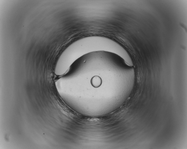 X0000099500409200806051128