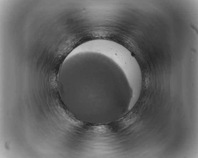 X0000099500411200806051128