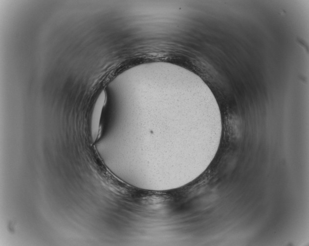 X0000099500412200806051128