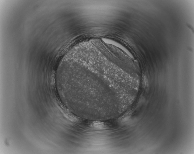 X0000099500413200806051128