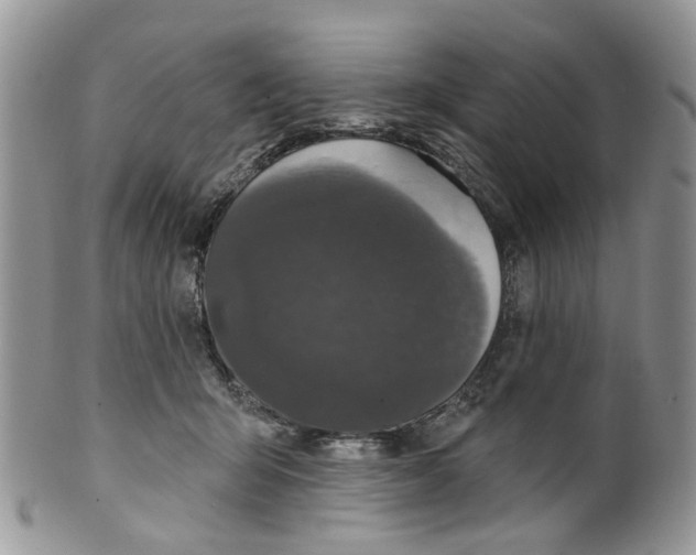 X0000099500415200806051128