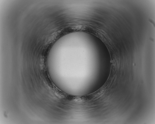 X0000099500416200806051128