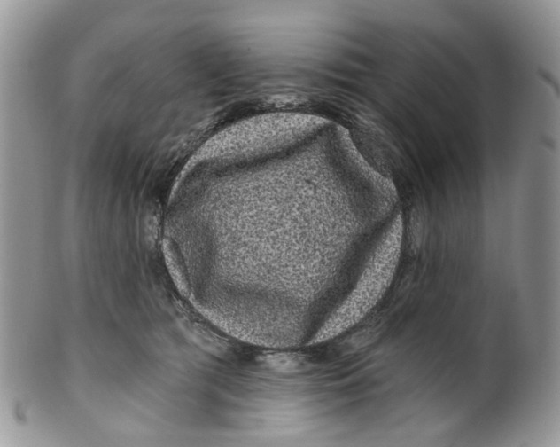 X0000099500417200806051128