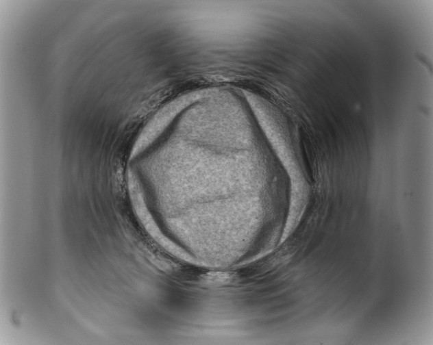 X0000099500418200806051128