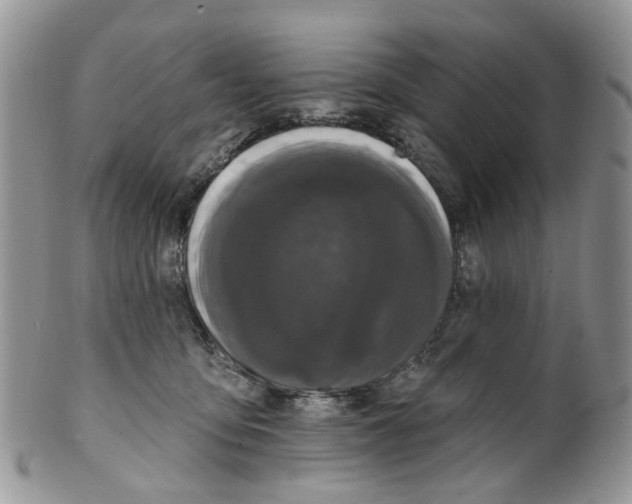 X0000099500419200806051128