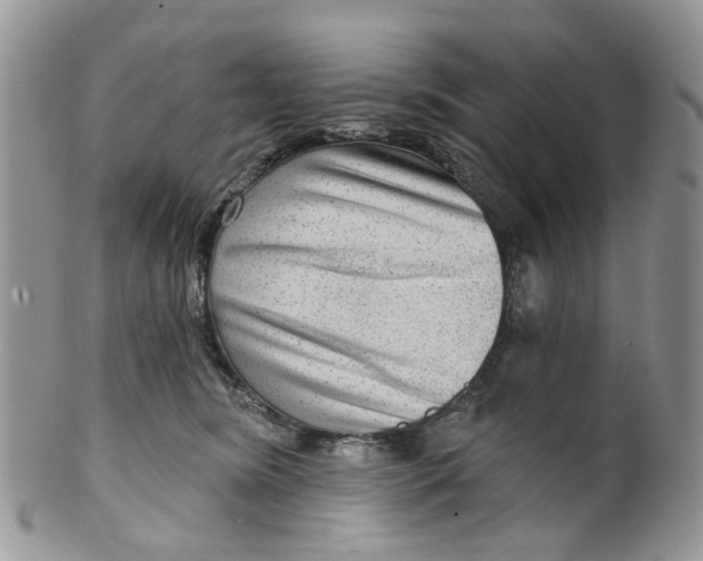 X0000099500420200806051128