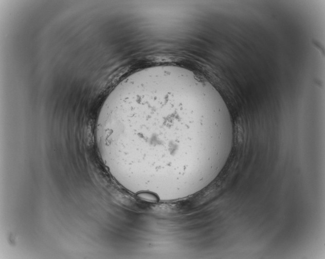 X0000099500422200806051127