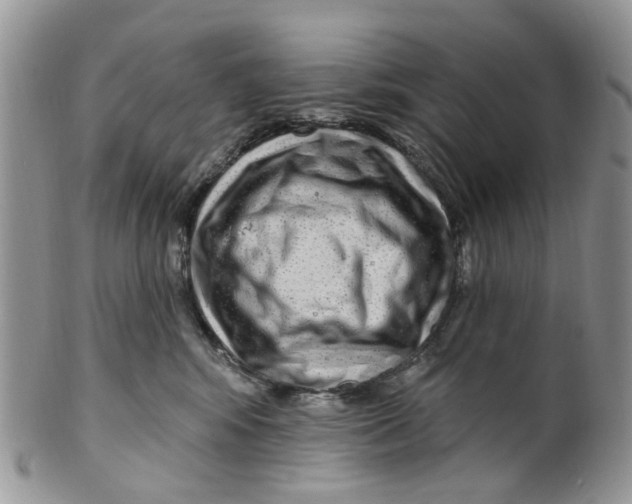 X0000099500424200806051127