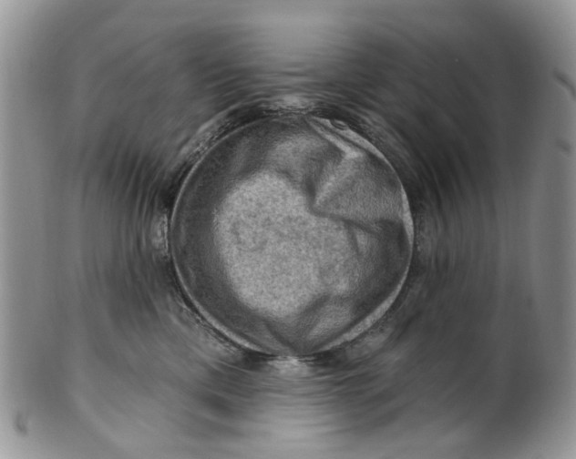 X0000099500425200806051127