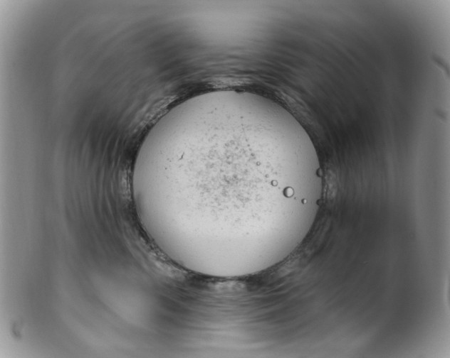 X0000099500426200806051127