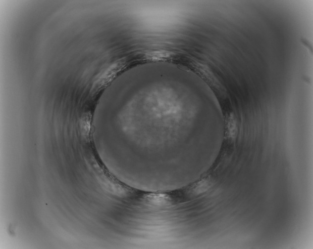 X0000099500427200806051127