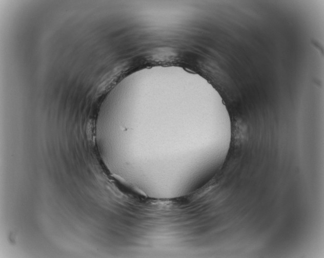 X0000099500428200806051127