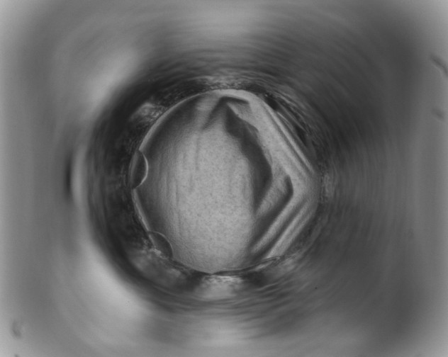 X0000099500429200806051127